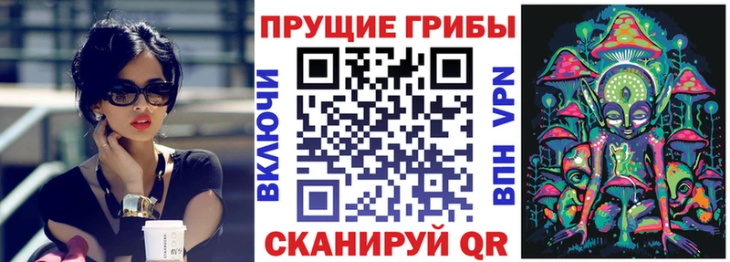Псилоцибиновые грибы прущие грибы  Тырныауз 